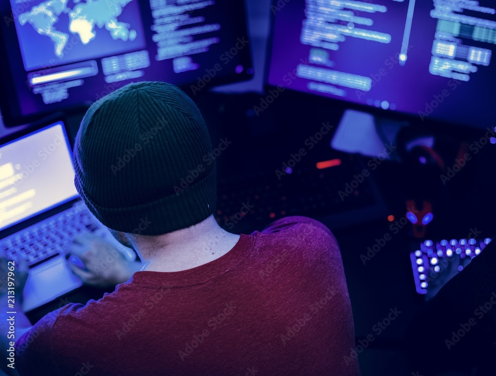 Wall mural diverse computer hacking shoot