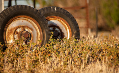 Two old and rusted tires resting against a shed among the tall dry grass