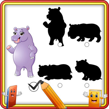 Find the correct shadow. Cartoon funny Hippo standing. Education Game for Children