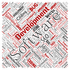 Vector conceptual software development project coding technology square red  word cloud isolated background. Collage of application web design, seo ideas, implementation, testing upgrade concept