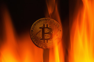 Coin bitcoin on fire