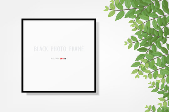Photo frame or picture frame background with branch green leaf. Vector.