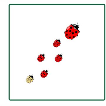 Ladybird icon