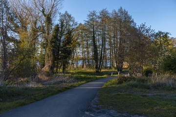 Obraz premium müritz