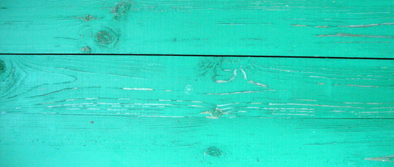 texture the old peeled board of green color. old tree. the peeled paint. rough skin. old age.