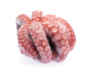 Common octopus Squid frozen isolated on white background © cloud7days