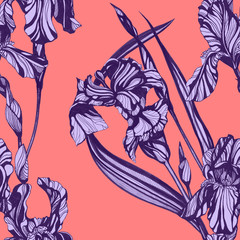 Iris flowers seamless pattern. Hand drawn ink illustration. Wallpaper or fabric design. - 213208142