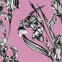 Iris flowers seamless pattern. Hand drawn ink illustration. Wallpaper or fabric design.