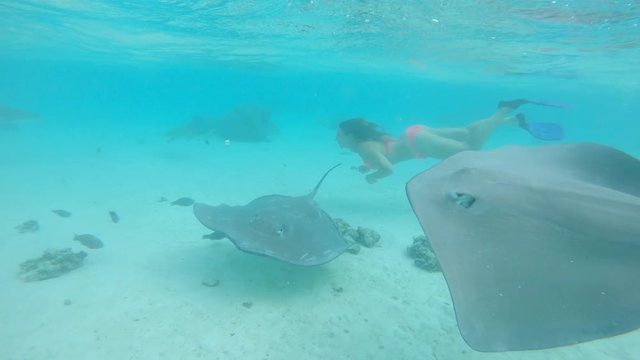 SLOW MOTION, UNDERWATER: Girl in bikini diving and exploring the breathtaking emerald ocean during her vacation on tropical island. Explorer observing the stunning exotic animals roaming the sea.