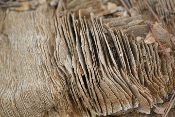 old stone wall
