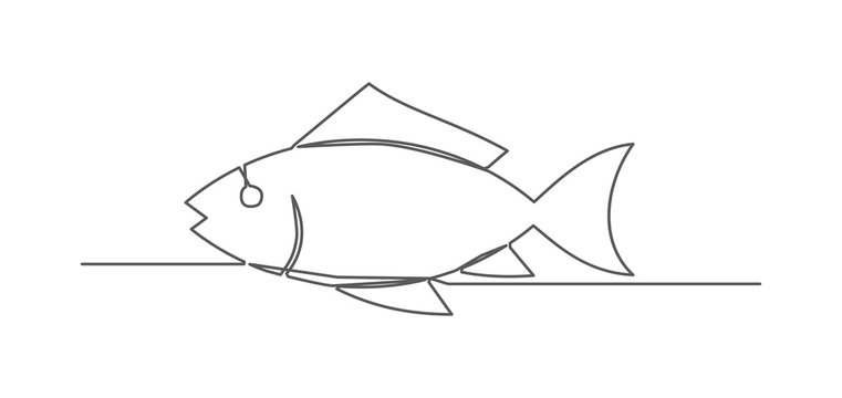 Fish One line drawing