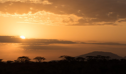 Naklejka premium Sunrise Buffalo Springs National Reserve