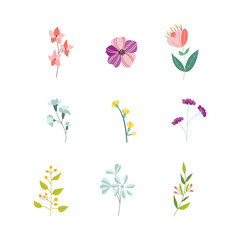 Vector flat abstract green plants flower herbs icon set. Meadow garden spring easter, women day romantic holiday, wedding invitation card decoration element summer floral Illustration white background
