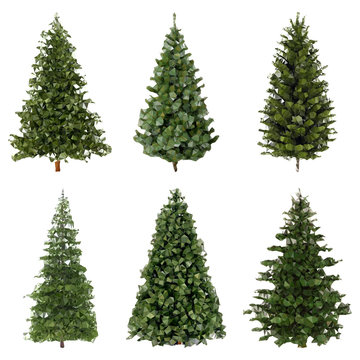 Set of low poly spruce.