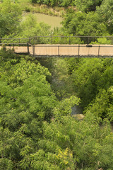 The wooden skywalk in outdoor green parks. Parks is natural abundance.