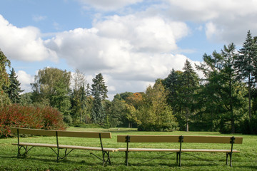ławki w parku i białe chmury