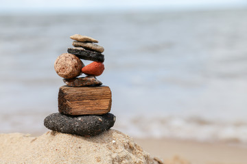 kamienie i drzewo na plaży