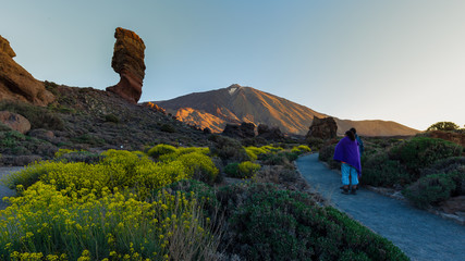 View of unique Roques de Garcia unique rock formation with famous Pico del Teide mountain volcano...