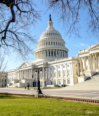 Obraz premium United States Capitol Building in Washington DC