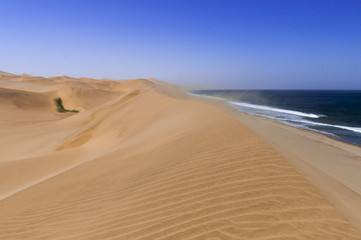 Fototapeta na wymiar Dunes on the Skeleton Coast / Sandstorm on the Skeleton Coast, dunes to the Atlantic Ocean, Namib Desert, Namibia, Africa.
