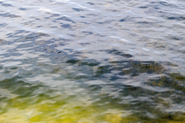 Green shallow water