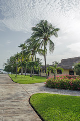 Obraz premium Tropical green trees