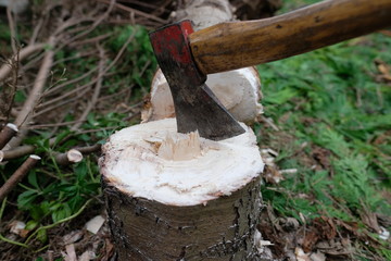 Steckende Axt in einem Baumstumpf
