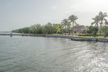 Tropical green trees along with pond