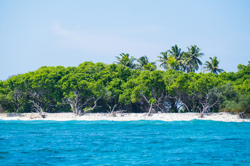 Blue sea, green tropical trees and clear blue sky