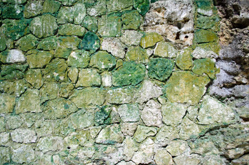 Stone with green moss and algae. Soil, abstract