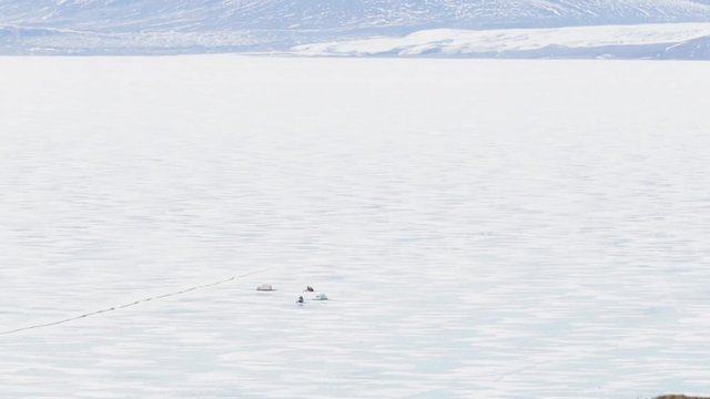 Ski doo crossing a large crack in the ice, Pond Inlet Nunavut