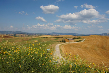 landscape in valdera