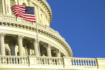 Capitol Building in Washington DC USA
