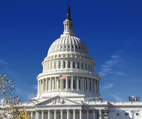 Capitol Building in Washington DC USA
