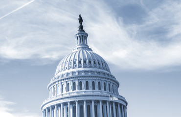 Capitol Building in Washington DC USA
