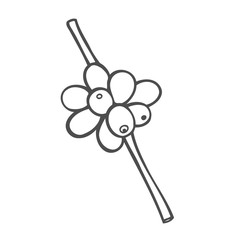 Vector line icon of coffee tree.