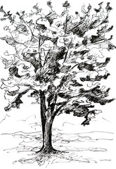 Tree sketch with black pen