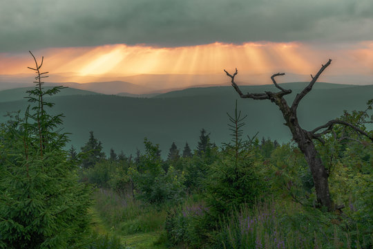 sunset view - Sonnenuntergang mit Ausiblick