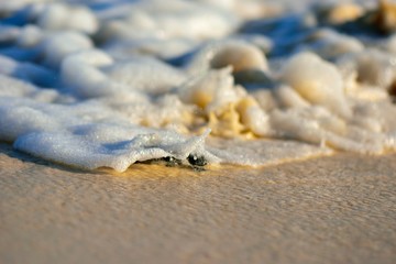 First touch of water
