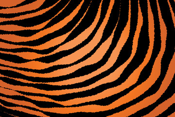 Close up Stripe Animal Pattern