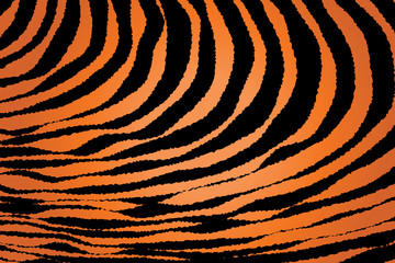 Close up Stripe Animal Pattern