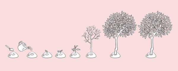 Vector flat tree planting stages, symbols icon set. green tree apple, pear fruits with foliage, sprouting seedling, shover digging pit, watering can pouring seed, smiling sun monochrome illustration