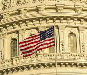 Capitol Building in Washington DC USA
