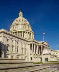 Naklejka premium Capitol Building in Washington DC USA 