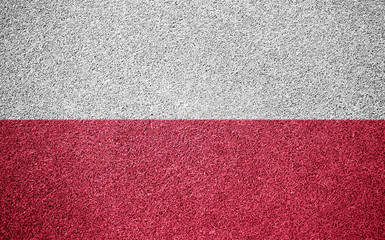 Fototapeta premium Poland Flag Grass Field Texture Background