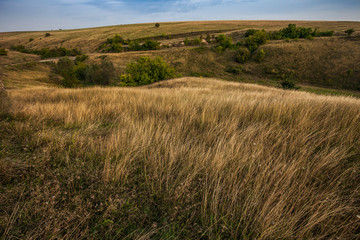 beautiful rural landscape and blue sky over grass field