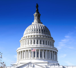 Obraz premium United States Capitol Building - Washington DC, USA