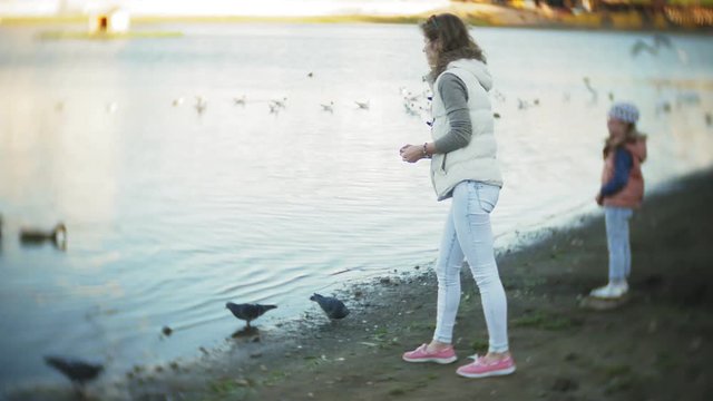 A young woman feeding on a lake swans and ducks Bird feeding in winter