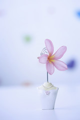 bride design figurine Card Holder with clip