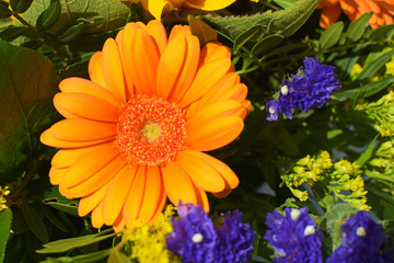 Various colorful summer flowers in a bouquet